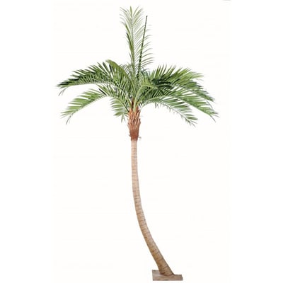 Palmier Coco artificiel H 270 cm 10 palmes ARTIFICIELLES
