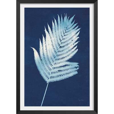 Affiche Fougère d'argent HEXOA