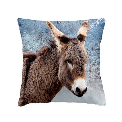 Coussin Frimousse d'ane DOUCEUR D'INTÉRIEUR