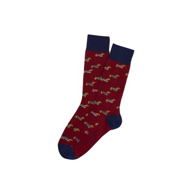 Chaussettes en coton imprimé Teckel Bordeaux ARTHUR