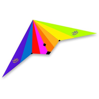 Cerf-volant delta avec double poignée VILAC
