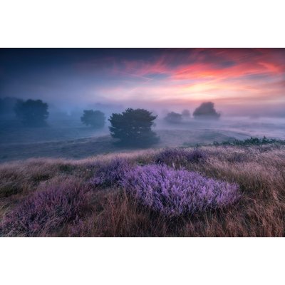 Tableau couleur chaude HEXOA