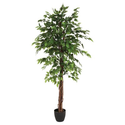 Ficus artificiel ATMOSPHERA