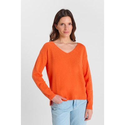Pull STING LE TEMPS DES CERISES