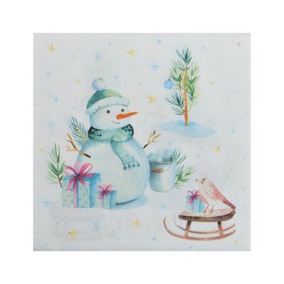 Lot de 20 serviettes en papier Bonhomme de neige et oiseau DOUCEUR D'INTÉRIEUR