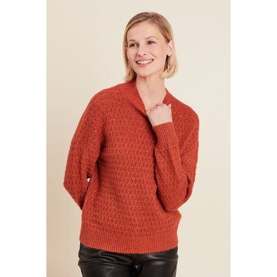 Pull manches longues sequins BREAL