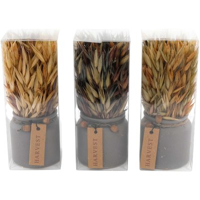 Pot de fleurs séchées naturels (Lot de 3) JARDINDECO
