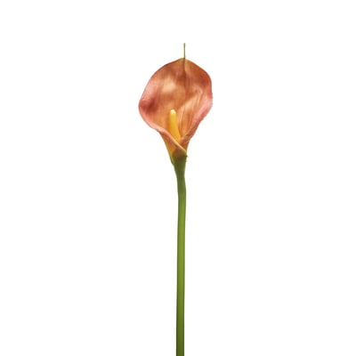 Tige d'arum artificielle H78 SIA DECO