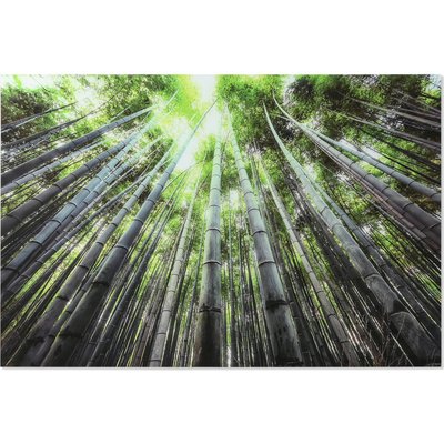 Tableau décoratif verre trempé forêt de bambous apaisante RECOLLECTION