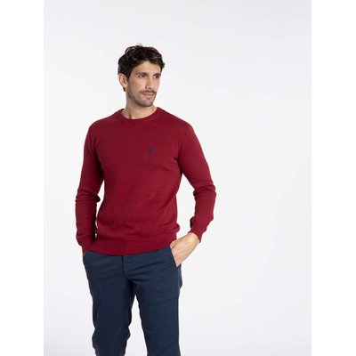 Pulls col rond  en coton PACO GENTLEMAN FARMER