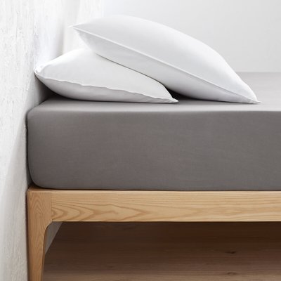 Drap housse jersey coton, bonnet 30cm, Scenario LA REDOUTE INTERIEURS