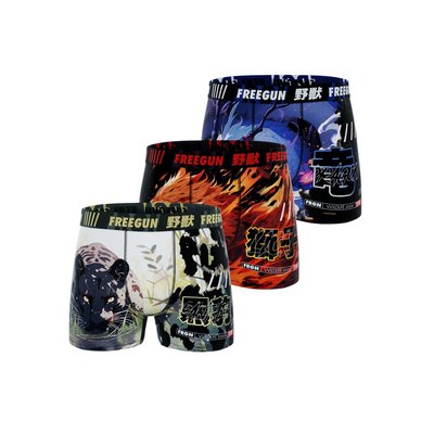 Lot de 3 Boxers microfibre FREEGUN