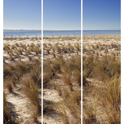 Triptyque Sur Toile Plage Sables 90x97 Cm PLAGE CEANOTHE