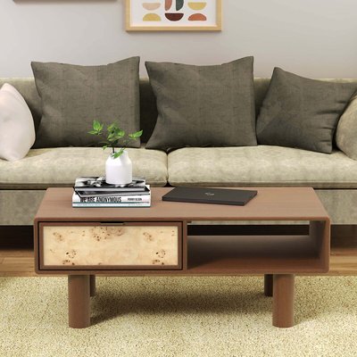 Umber Burl & Mango Wood Coffee Table ÉDITÉ