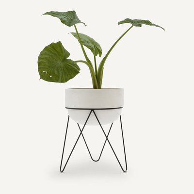 Cache pot H54 cm, Plantae AM.PM