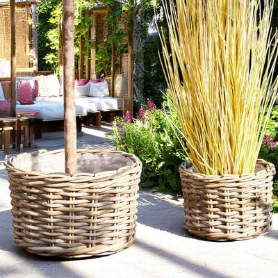 Cache-pot bas pour grandes plantes, en rotin (lot de 2) PIER IMPORT