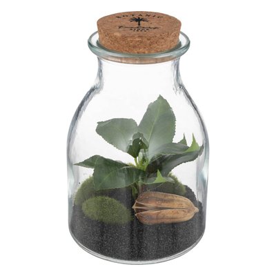 Terrarium BOTA ATMOSPHERA