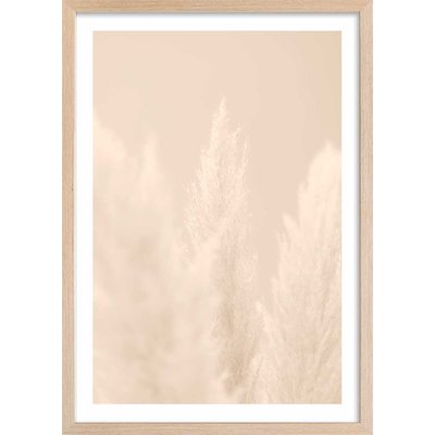 Affiche  scandi  de roseaux HEXOA