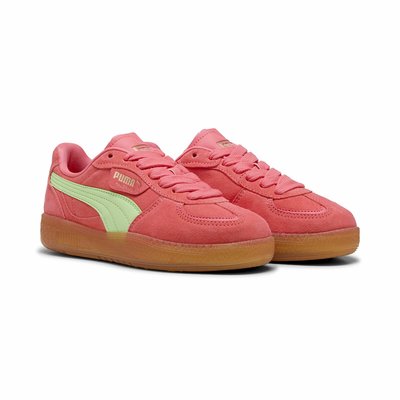 Baskets Palermo Moda Xtra Gum PUMA