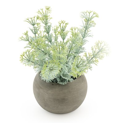 16cm Artificial Dwarf Ambulia Plant in Pot SO'HOME