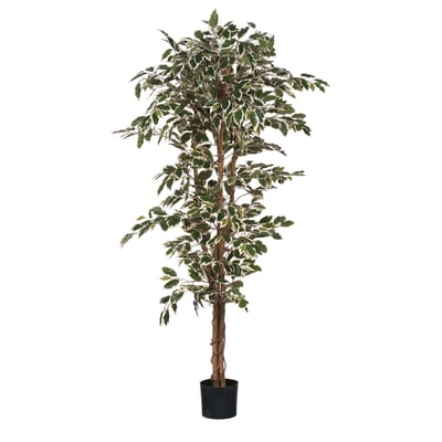 Plante artificielle FICUS MICA DECORATIONS