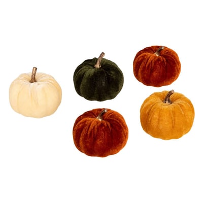 PLF CITROUILLES VELOURS X5 ATMOSPHERA