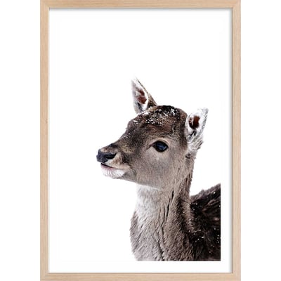 Affiche enfant faon sous la neige HEXOA