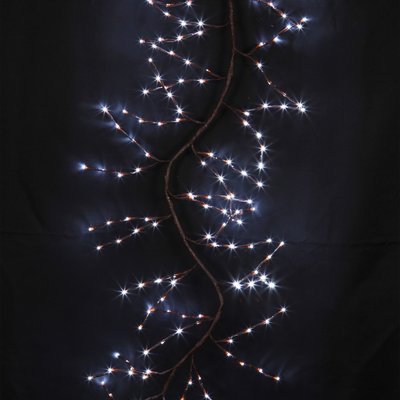 Branche lumineuse 192 Led DOUCEUR D'INTÉRIEUR