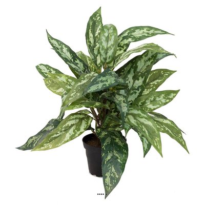 Aglaonema plante artificielle en pot H 37 cm ARTIFICIELLES