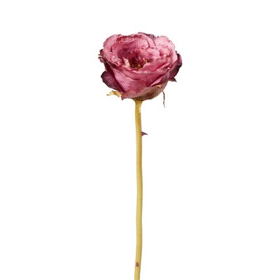 Tige de rose fermée artificielle H55 SIA DECO
