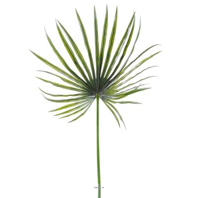 Feuille palmier Chamaerops artificielle H 130 ARTIFICIELLES