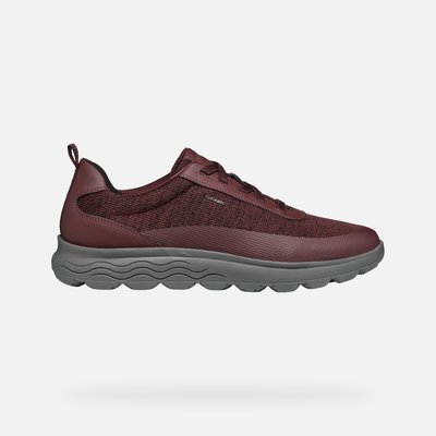 Baskets  U SPHERICA GEOX