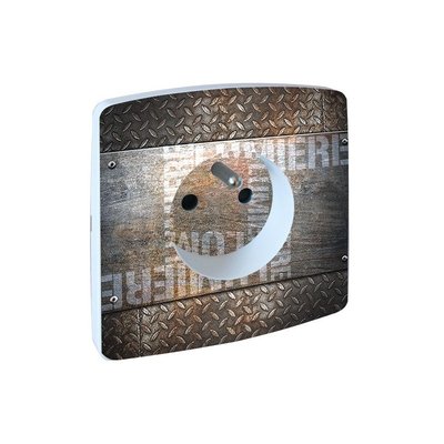 Prise Deco Inox Objet D'art MILLUMINE