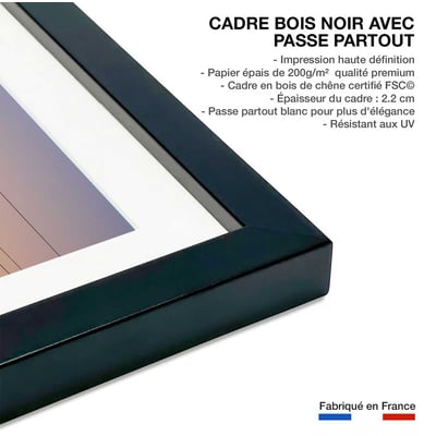 Affiche oiseaux Music of Light HEXOA
