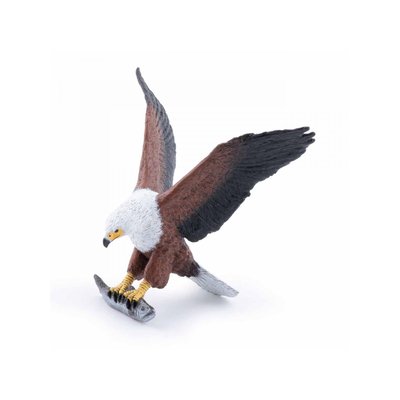 Aigle pêcheur d'Afrique PAPO
