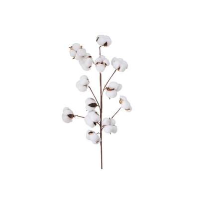 Branche de coton naturelle décorative - 68cm WADIGA