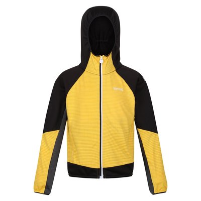 Veste softshell PRENTON REGATTA