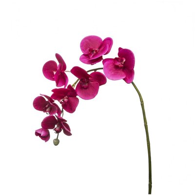 Tige d'orchidée phalaenopsis artificielle H82 SIA DECO