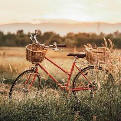 Tableau Mural Vélo Dans Les Blés CHARME ROMANTIQUE CEANOTHE