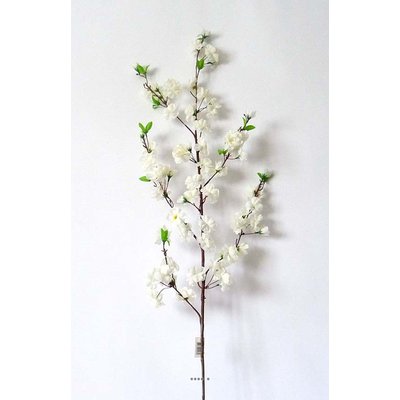Branche de cerisier Prunus crème artificiel ARTIFICIELLES