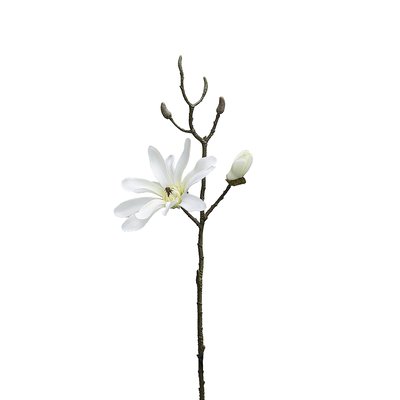 Tige de magnolia artificielle H41 SIA DECO