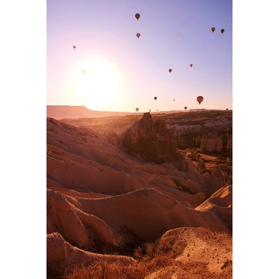 Tableau Mural Ballons Rouges GRANDS ESPACES CEANOTHE