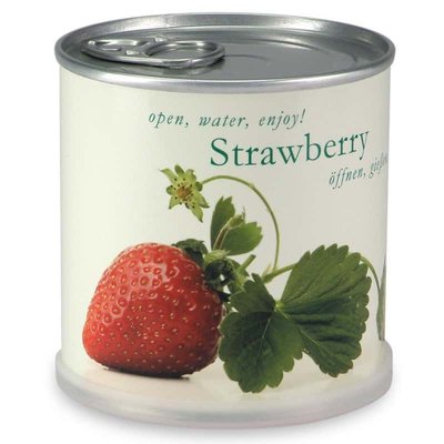 Fraises à faire pousser en boite MAC FLOWERS