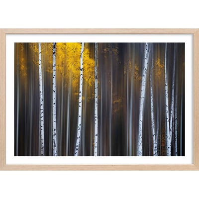 Affiche paysage Rideau d'automne HEXOA