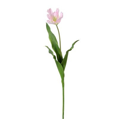 Tige de tulipe perroquet artificielle H63 SIA DECO