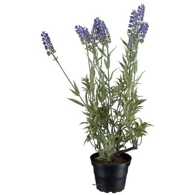 Lavande artificielle en pot H 40 cm 9 fleurs ARTIFICIELLES