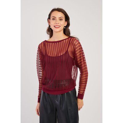 Pull Rayé Transparent Manches Longues CARINE DERHY