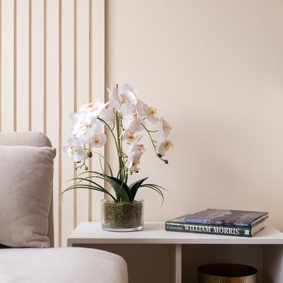 52cm Real Touch 3-Stem Orchid with Grass in Glass Pot SO'HOME
