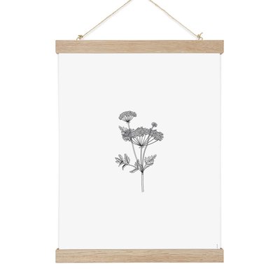 Herbarium II, affiche +  cadre chêne. 50cm x 70cm COTTON BIRD