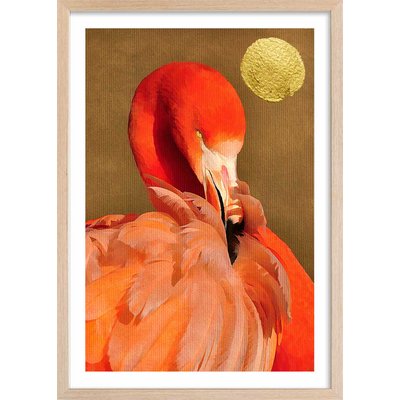 Affiche animaux flamingo et soleil d'or HEXOA